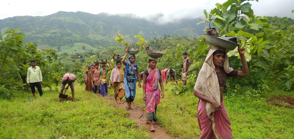 Owi folk songs of India